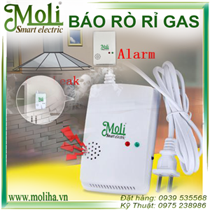 CẢM BIẾN RÒ RỈ GAS