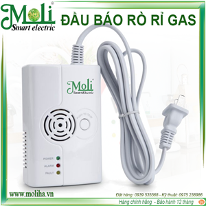 ĐẦU BÁO RÒ RỈ GAS